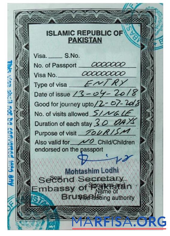 Printable Pakistan entry visa download for verification